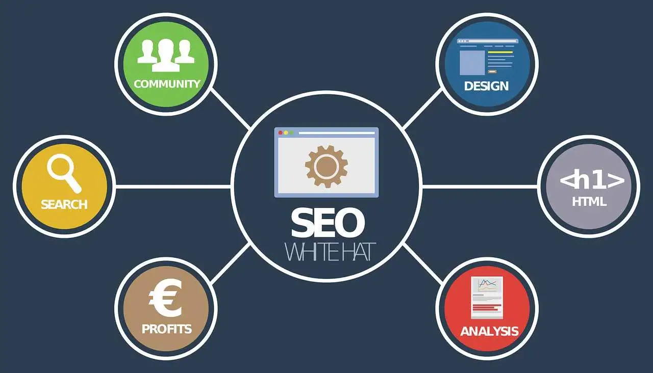 Seo Agency in Ludhiana