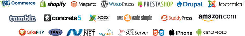 Website design ludhiana