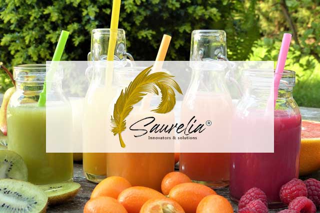 Logo Design Branding - Youtotech Web Mobile Development